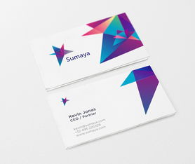 Sumaya互聯網IT企業(yè)標志設計 品牌VI形象設計與企業(yè)形象策劃的完美融合